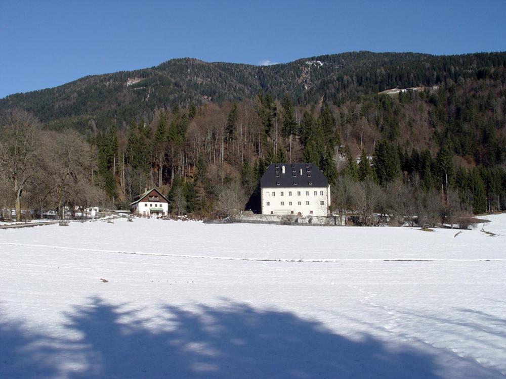 Schloss Manndorf Gaestehaus Kotschach-Mauthen Dış mekan fotoğraf