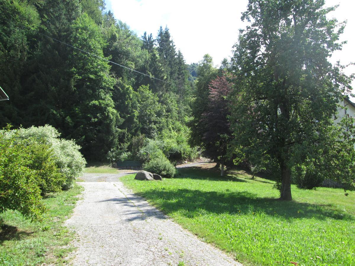 Schloss Manndorf Gaestehaus Kotschach-Mauthen Dış mekan fotoğraf